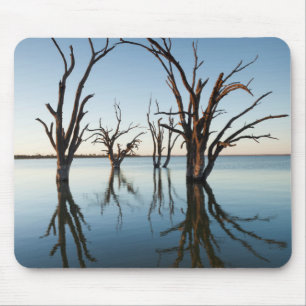 Mousepad Austrália, Vale do Rio Murray, Barmera, Lago