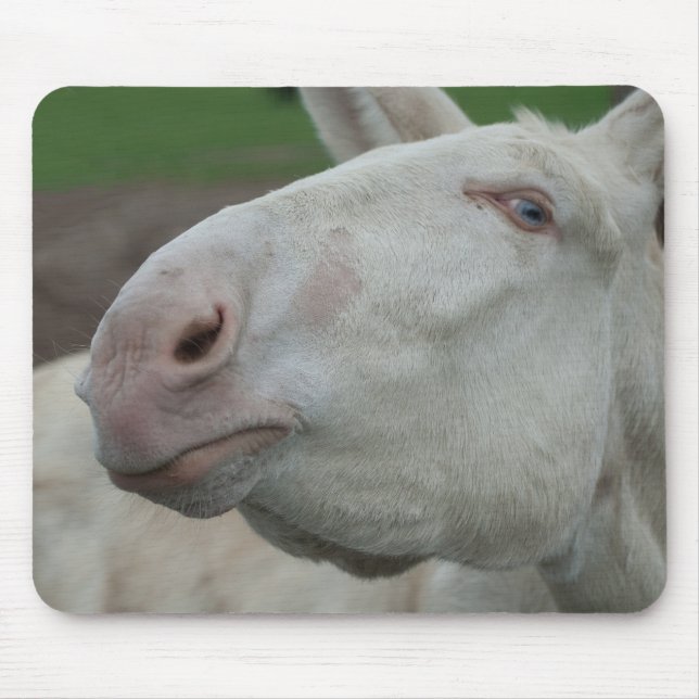 Mousepad Áustria - Burro Branco Húngaro (Frente)