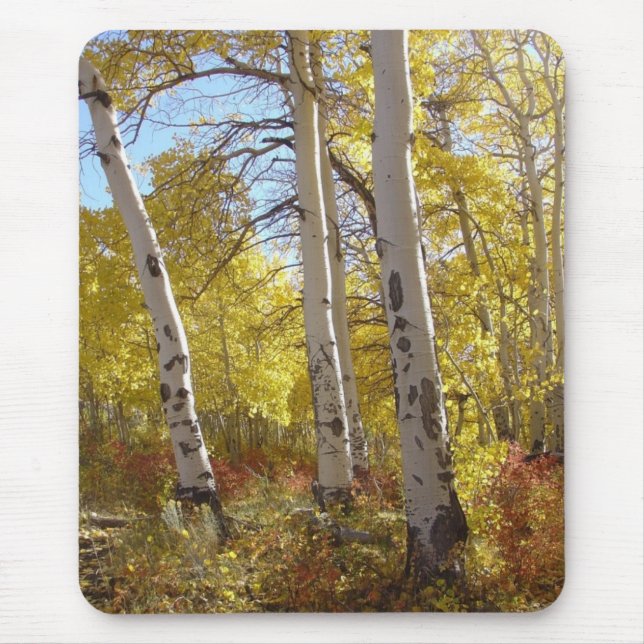 Mousepad Autumn Aspen Trees Mountain Splendor (Frente)