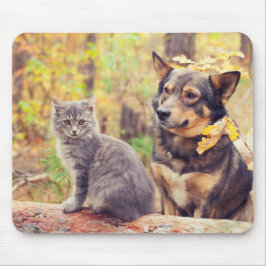 Mousepad Autumn Buddies: Kitten Cinza e Feliz Cãozinho