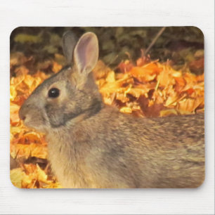 Mousepad Autumn Bunny