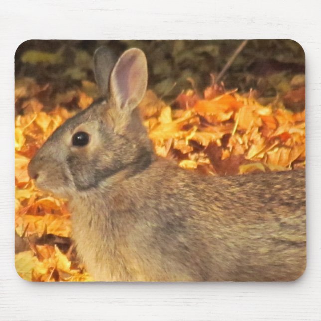 Mousepad Autumn Bunny (Frente)