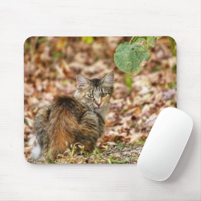 Mousepad Autumn Cat (Com mouse)