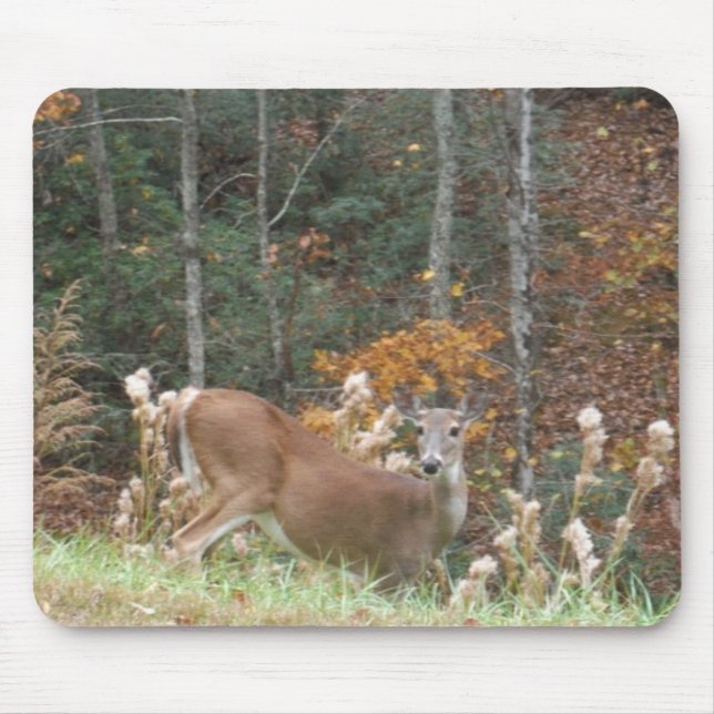 Mousepad Autumn Deer no lago Arrohouad GA (Frente)