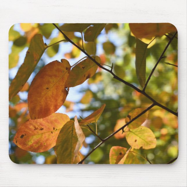 Mousepad Autumn Leaves Riverside Park Nova Iorque NYC (Frente)
