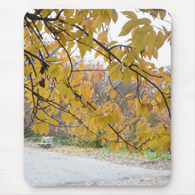 Mousepad Autumn Leaves Riverside Park Nova Iorque NYC (Frente)