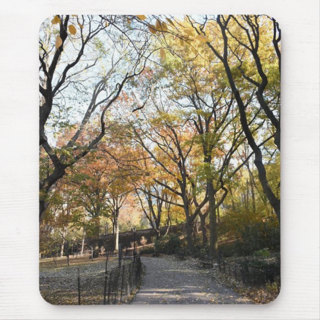 Mousepad Autumn Leaves Riverside Park Nova Iorque NYC (Frente)