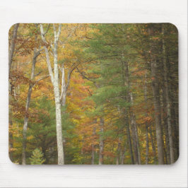 Mousepad "Autumn Magic"
