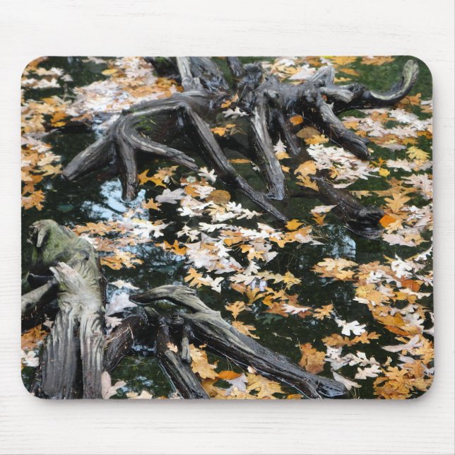 Mousepad Autumn Otter Pond de Folhas (Frente)