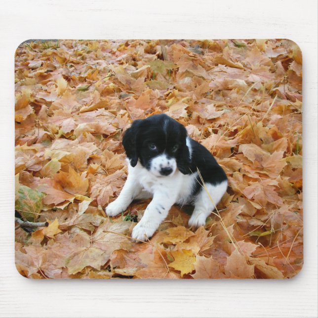 Mousepad Autumn Puppy (Frente)