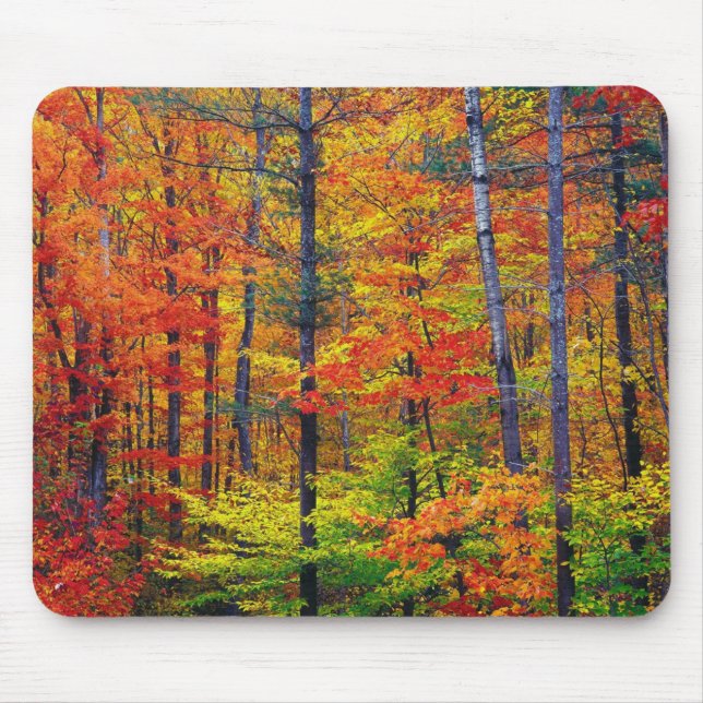 Mousepad Autumn Woods Mouse (Frente)