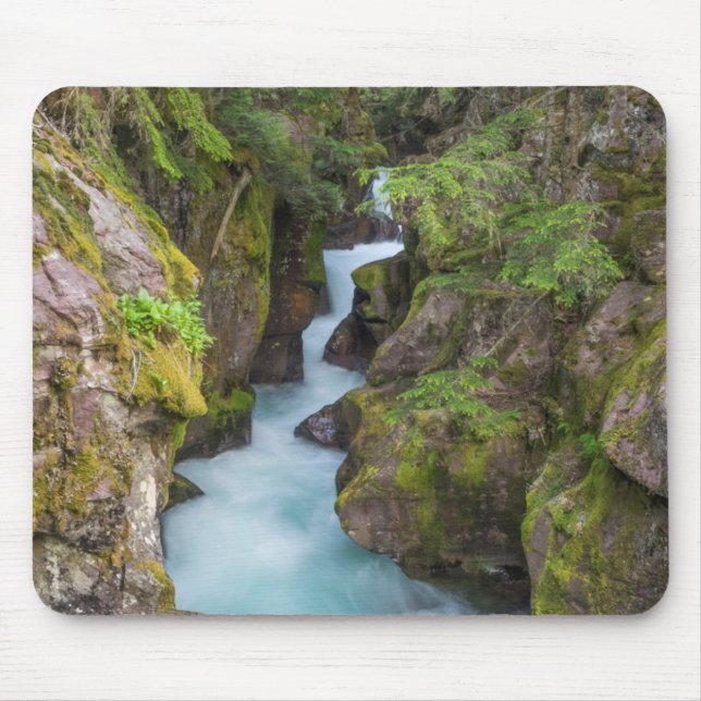 Mousepad Avalanche Creek, Glacier National Park, Montana (Frente)