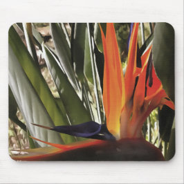 Mousepad Ave do Paraíso Strelitzia Reginae - Painti acrílic