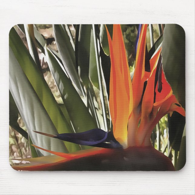 Mousepad Ave do Paraíso Strelitzia Reginae - Painti acrílic (Frente)