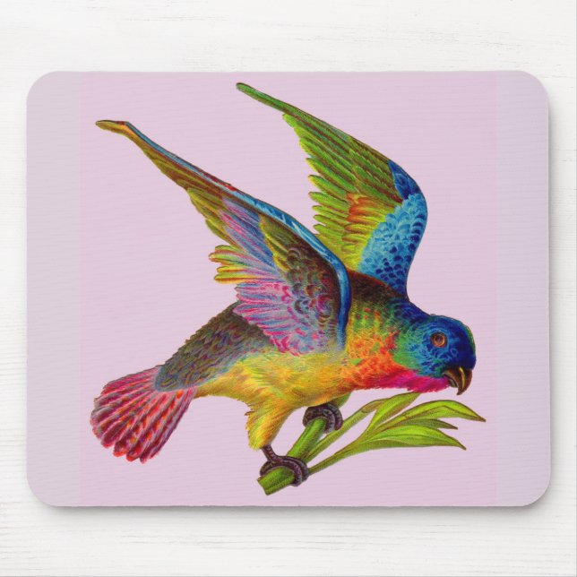 Mousepad ave vitoriana ultra-colorida (Frente)