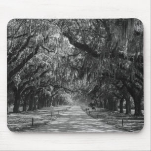 Mousepad Avenida De Oaks Escala De Cinza