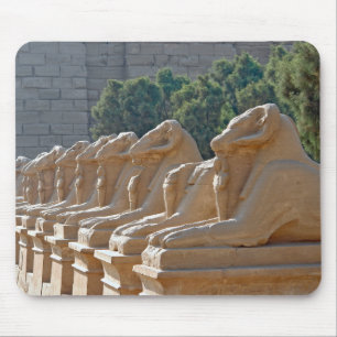 Mousepad Avenida dos Esfincados com Cabeça-de-Carvalho no 