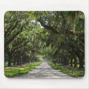 Mousepad Avenue Of Oaks
