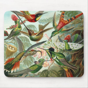 Mousepad Aves