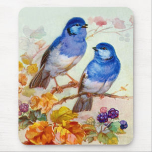 Mousepad Aves azuis