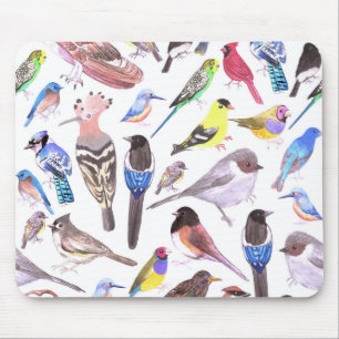 Mousepad Aves da América - animais de companhia e aves sel