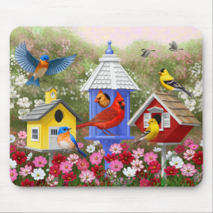 Mousepad Aves e Aves Coloridas