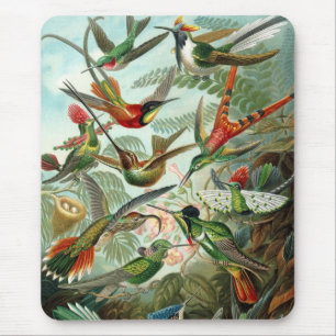 Mousepad Aves Haeckel