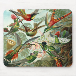 Mousepad Aves-humanos por Ernst Haeckel, Árvores de Aves Vi