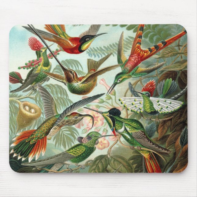 Mousepad Aves-humanos por Ernst Haeckel, Árvores de Aves Vi (Frente)