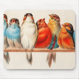 Mousepad Aves Sentadas Bonito e Calmas