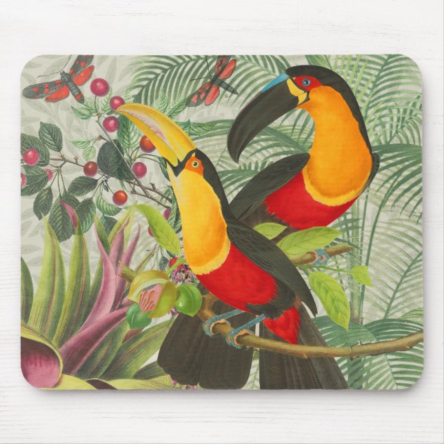 Mousepad Aves Tropicais Vibrantes Turianos Arte Selva Exóti (Frente)