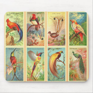 Mousepad Aves Vintage