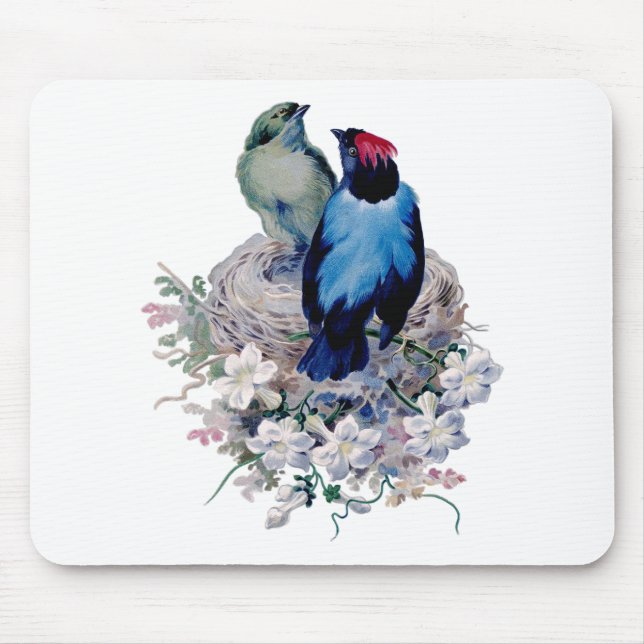 Mousepad Aves Vintage (Frente)