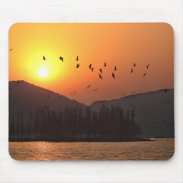 Mousepad Aves voando em Céu Sunset sobre East Lake Photo (Frente)