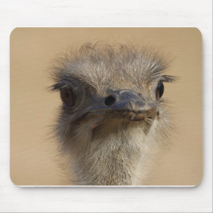 Mousepad Avestruz