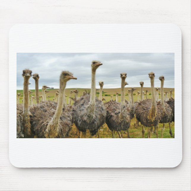 Mousepad avestruz (Frente)