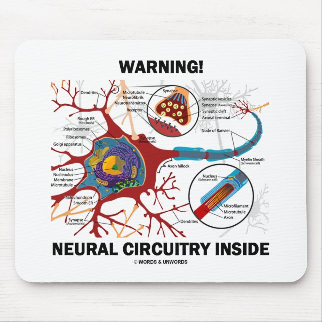Mousepad Aviso! Interior Neural dos circuitos (sinapse do (Frente)