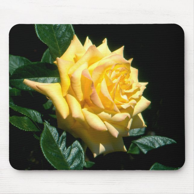 Mousepad Avô Dickson (Frente)