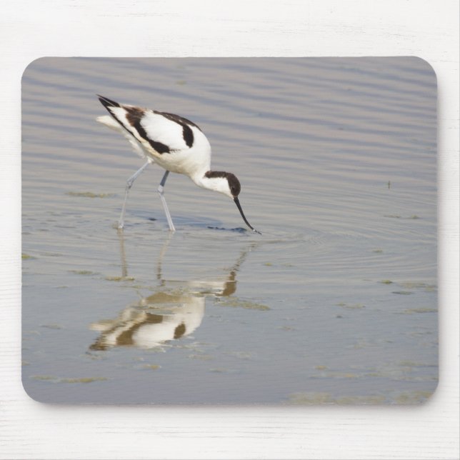 Mousepad avosetta recorrente (Frente)