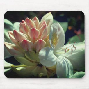 Mousepad Azalea branca