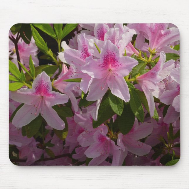 Mousepad Azalea Bush Primavera Floral rosa (Frente)