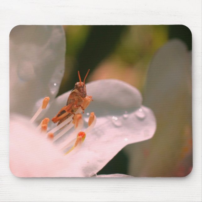 Mousepad Azalea Flower E Gafanhoto (Frente)