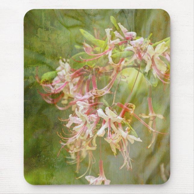 Mousepad Azalea Selvagem Blossomas = Springtime (Frente)