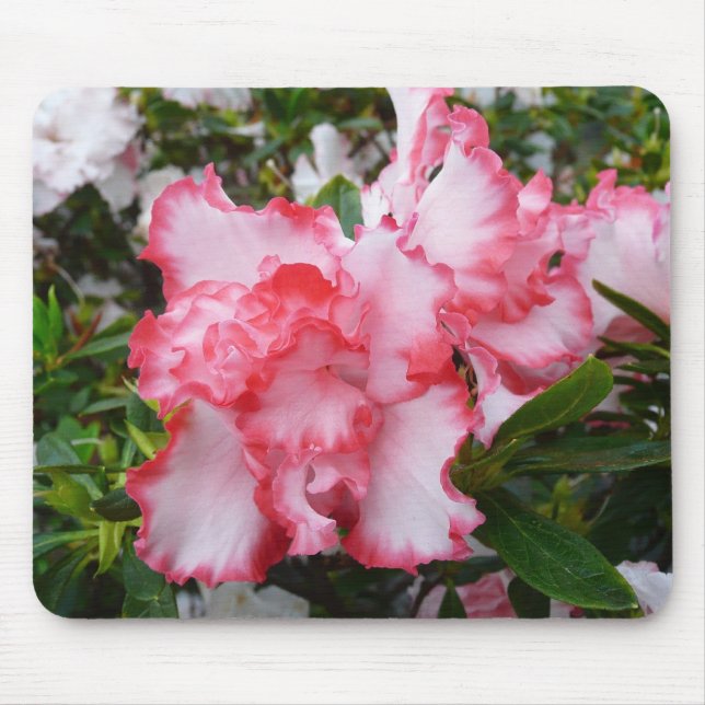 Mousepad Azaleas Primavera Floral, Vermelhas Duplas e Branc (Frente)