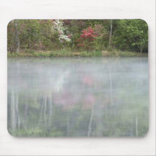 Mousepad Azáleas refletindo em um lago durante o início