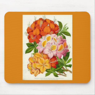 Mousepad "Azáleas résistentes" pelo senhor Joseph Paxton