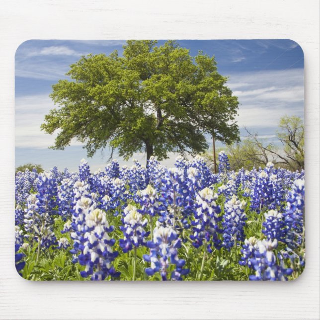 Mousepad Azebonetos (lupinus texensis) e carvalho (Frente)