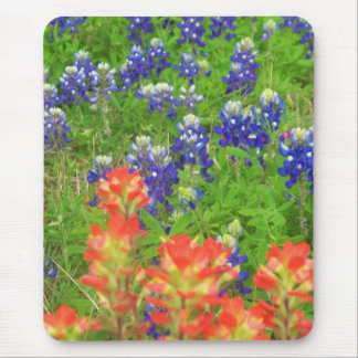 Mousepad Azuis novos e vermelhos