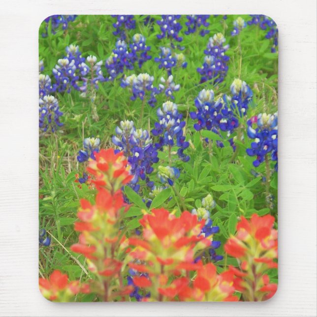 Mousepad Azuis novos e vermelhos (Frente)