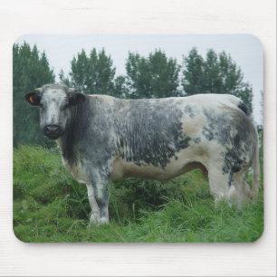 Mousepad Azul belga da vaca